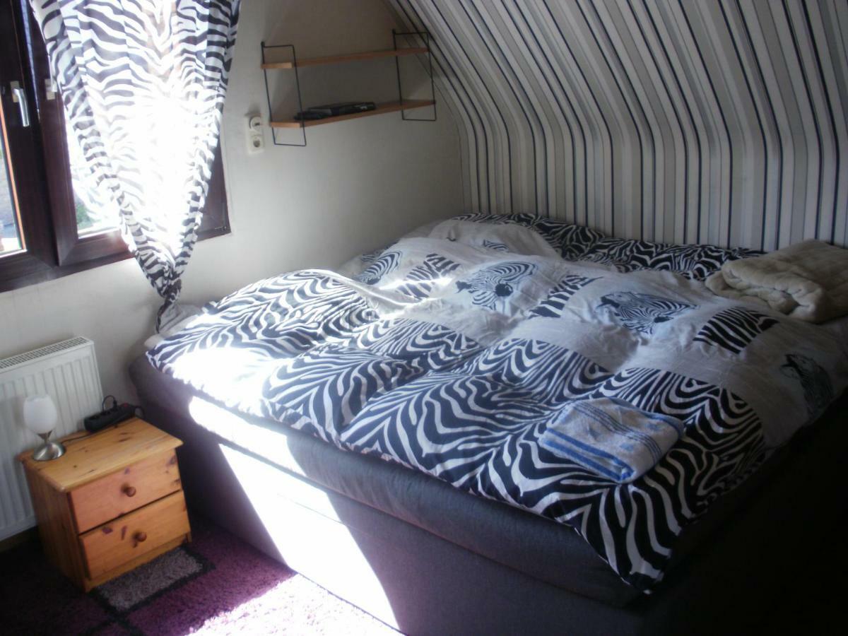Apartment Monika 弗雷兴 外观 照片