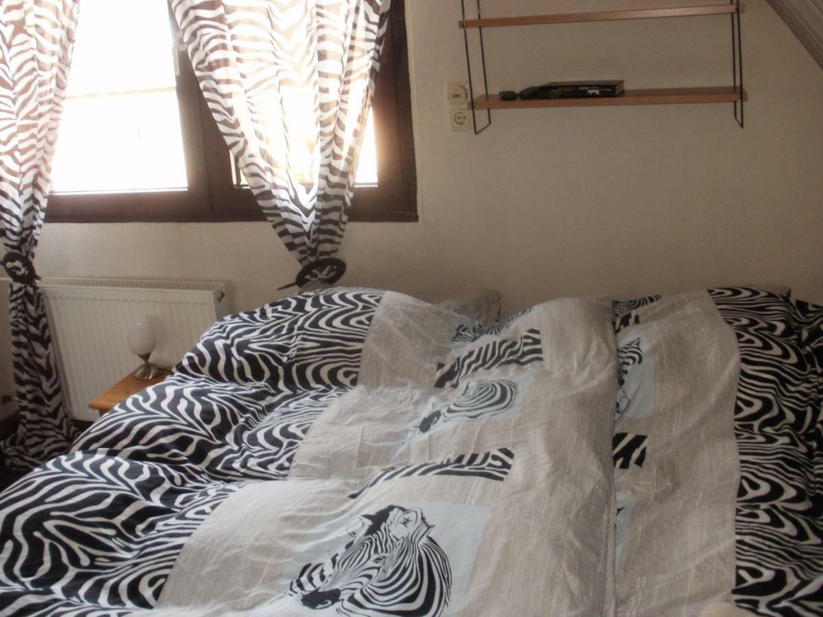 Apartment Monika 弗雷兴 外观 照片